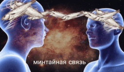 минтайная-связь-минтайная.gif