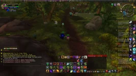 WoWScrnShot_082525_232433.webp