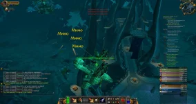 WoWScrnShot_052726_012956.webp WoWScrnShot_052726_012956.webp