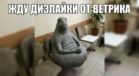 изображение_2026-08-07_125659679.webp