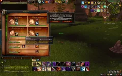 WoWScrnShot_081926_234134.webp