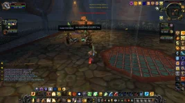 WoWScrnShot_082226_223701.webp