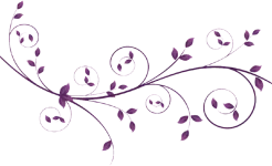 Untitled-2.webp